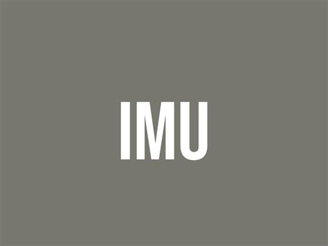 imu meaning